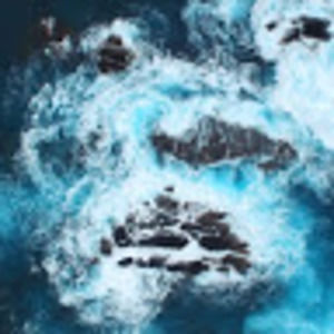 Meet your Posher, Sophi